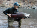 Klickitat River Chinook Salmon