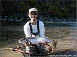 A Hatchery Klickitat River Steelhead