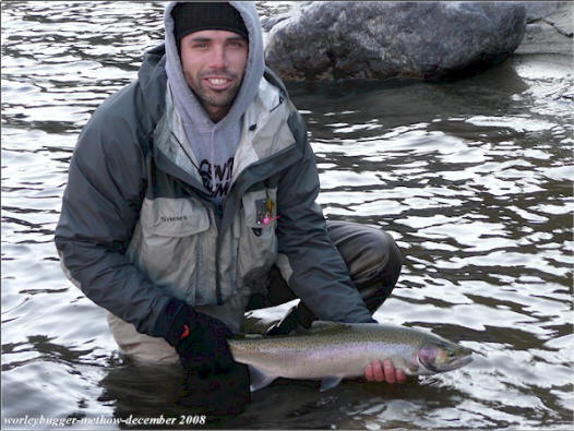 Methow River Steelhead-December 10th-2008