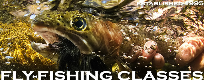 Worley Bugger Fly Co-Fly Fishing Classes