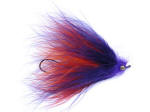 Wambat Fly, Blackbird
