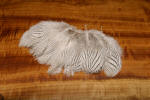 Hareline Dubbin Silver Pheasant