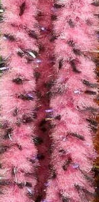 Hareline Dubbin UV Mottled Galaxy Mop Chenille-Fl Shrimp Pink