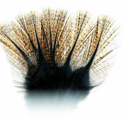 Hareline Dubbin Coq De Leon Feathers-Ginger Speckled