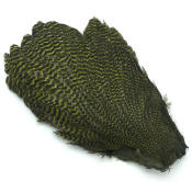 Hareline Dubbin Hen Capes-Grizzly Olive