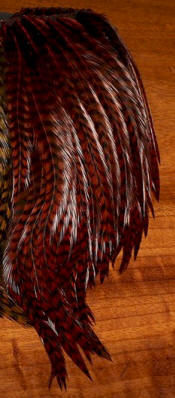 Hareline Dubbin Bugger Hackle Patches-Grizzly Brown