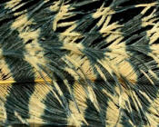 Hareline Dubbin Spirit River Jailhouse Ostrich Feathers-Tan Black