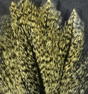 Hareline Dubbin Coq De Leon Feathers-Barred Speckled