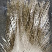 Hareline Dubbin Coq De Leon Feathers-Dun
