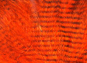 Hareline Dubbin-Fine Black Barred Marabou-Hot Orange