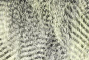 Hareline Dubbin-Fine Black Barred Marabou-Cream