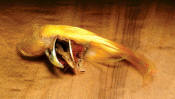 Hareline Dubbin Complete Golden Pheasant Crest-Natural