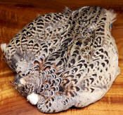 Hareline Dubbin Hen Ringneck Pheasant Skin