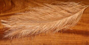 Hareline Dubbin Raptor Hackle-Fl Shrimp Tan