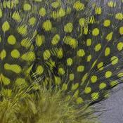 Hareline Dubbin Strung Guinea Feathers-Olive