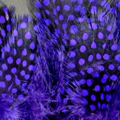 Hareline Dubbin Strung Guinea Feathers-Purple