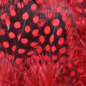Hareline Dubbin Strung Guinea Feathers-Red
