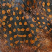 Hareline Dubbin Strung Guinea Feathers-Rusty Brown