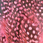 Hareline Dubbin Strung Guinea Feathers-Shrimp Pink