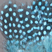 Hareline Dubbin Strung Guinea Feathers-Silver Doc Blue