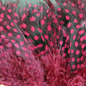 Hareline Dubbin Strung Guinea Feathers-Claret