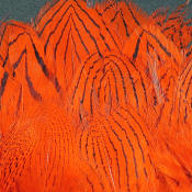 Hareline Dubbin Strung Silver Pheasant Body Feathers-Hot Orange