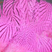 Hareline Dubbin Strung Silver Pheasant Body Feathers-Hot Pink