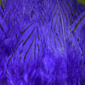 Hareline Dubbin Strung Silver Pheasant Body Feathers-Purple