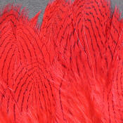 Hareline Dubbin Strung Silver Pheasant Body Feathers-Red