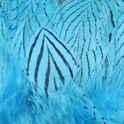 Hareline Dubbin Strung Silver Pheasant Body Feathers-Silver Doc Blue