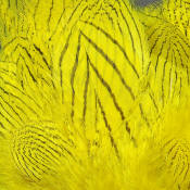 Hareline Dubbin Strung Silver Pheasant Body Feathers-Yellow
