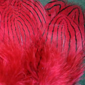 Hareline Dubbin Strung Silver Pheasant Body Feathers-Claret