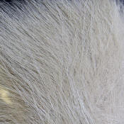 Hareline Dubbin Artic Fox Body Hair-Gray