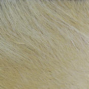Hareline Dubbin Artic Fox Body Hair-Tan