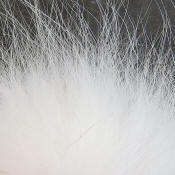 Hareline Dubbin Artic Fox Body Hair-White