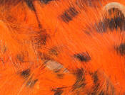 Hareline Dubbin-Black Barred Rabbit Strips 1/8"-Hot Orange