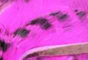 Hareline Dubbin-Black Barred Rabbit Strips 1/8"-Hot Pink