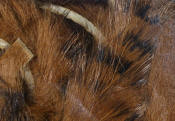 Hareline Dubbin-Black Barred Rabbit Strips 1/8"-Medium Brown