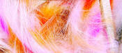 Hareline Dubbin Micro Cut Groovy Bunny Strip-Fl Pink Orange White
