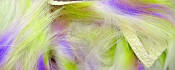 Hareline Dubbin Micro Cut Groovy Bunny Strip-Yellow Chartreuse Purple