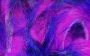 Hareline Dubbin Micro Pulsator Strips-Purple Fuchsia