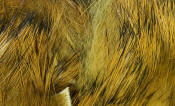 Hareline Dubbin Rabbit Strip-Gold Variant