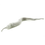 Hareline Dubbin Mangums Mini Dragon Tail-Gray