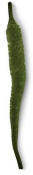 Hareline Dubbin Mangums Mini Dragon Tail-Olive