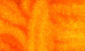 Hareline Dubbin-Trilobal Antron Chenille-Orange