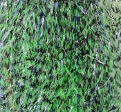 Hareline Dubbin Senyo's Barred Predator Wrap-Black Chartreuse Barred UV