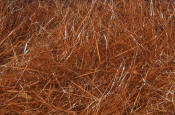 Hareline Dubbin Hare's Ear Plus Dub-Reddish Brown