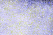 Hareline Dubbin Ice Dub-UV Pearl