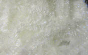 Hareline Dubbin Ice Dub Chenille-Pearly White