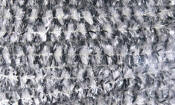 Hareline Dubbin Speckled Crystal Chenille-Black Silver White